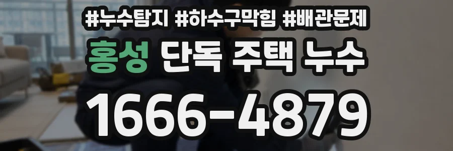 홍성 단독 주택 누수