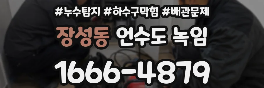 장성동 언수도 녹임