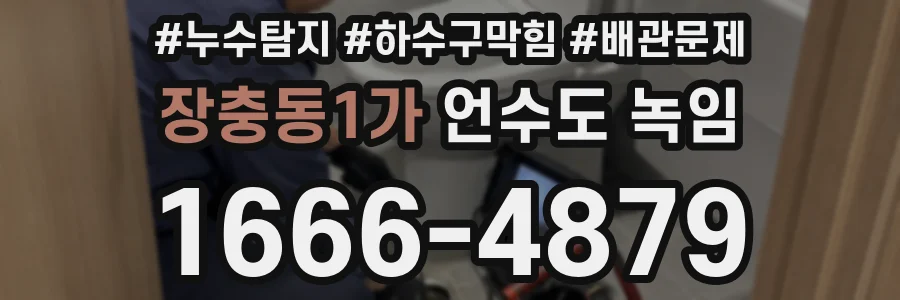 장충동1가 언수도 녹임