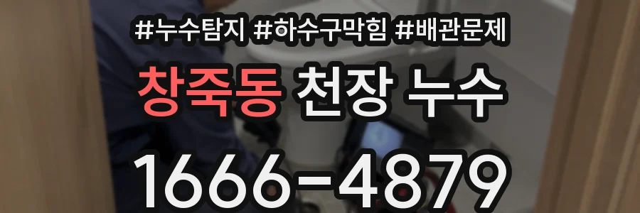 창죽동 천장 누수