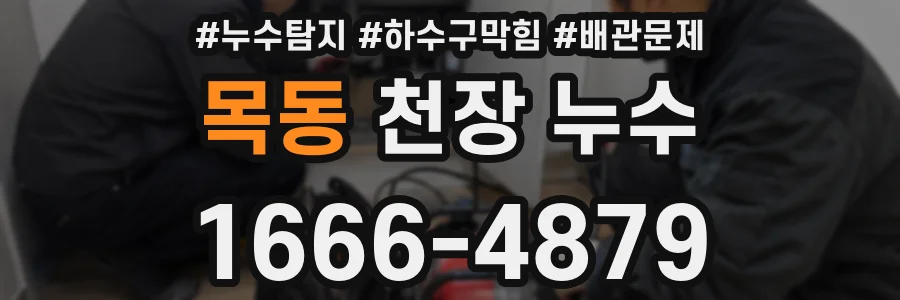 목동 천장 누수
