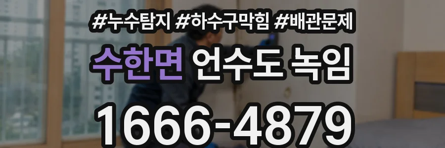 수한면 언수도 녹임