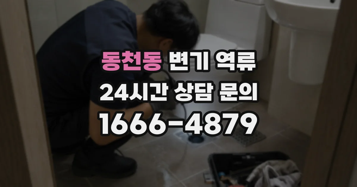 동천동 변기 역류
