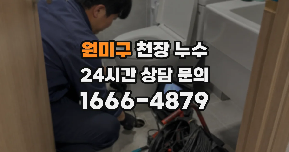원미구 천장 누수
