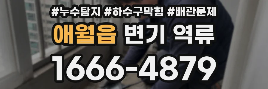 애월읍 변기 역류