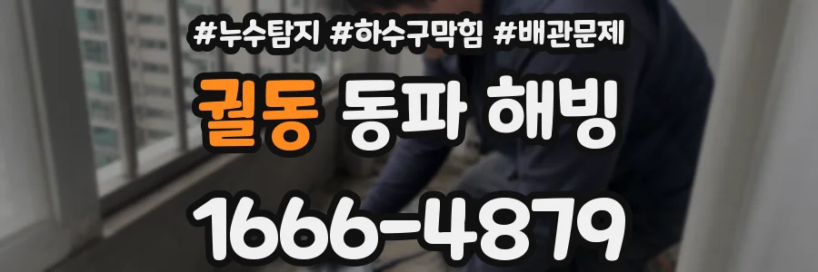 궐동 동파 해빙