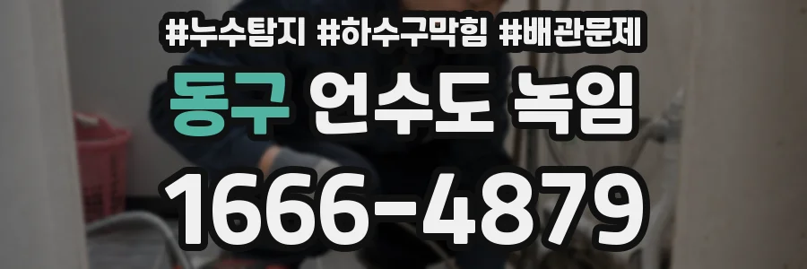 동구 언수도 녹임