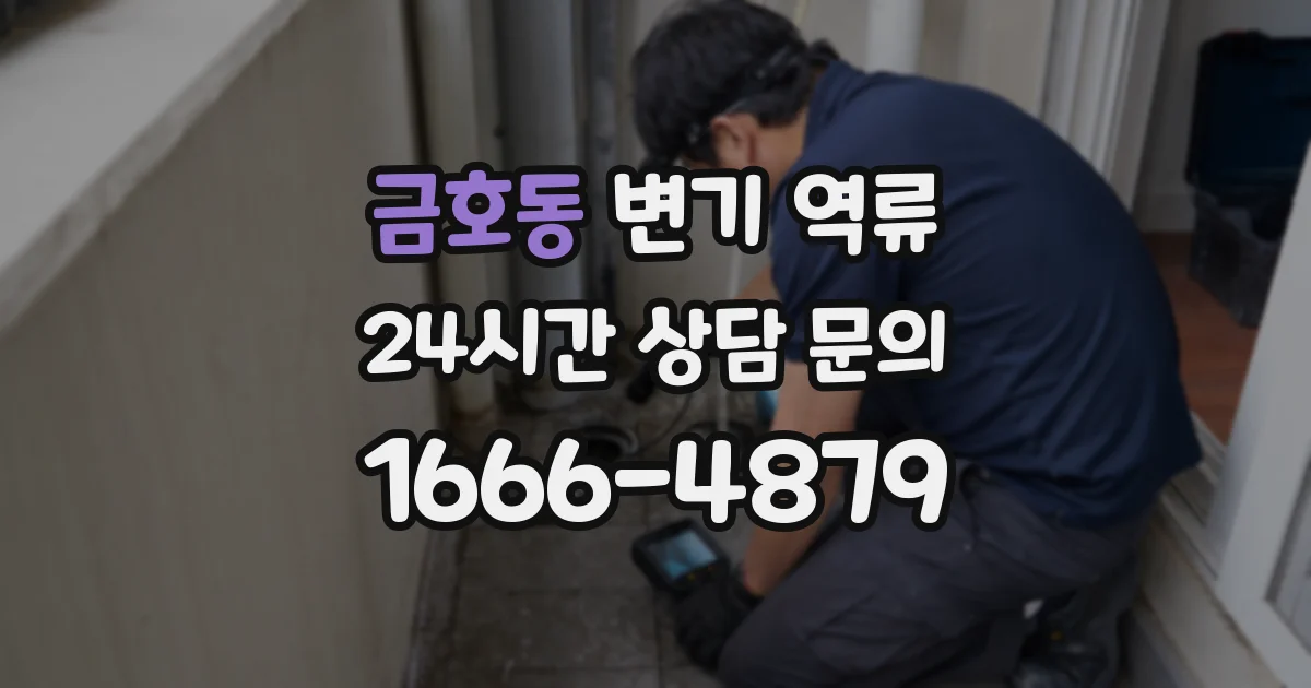 금호동 변기 역류