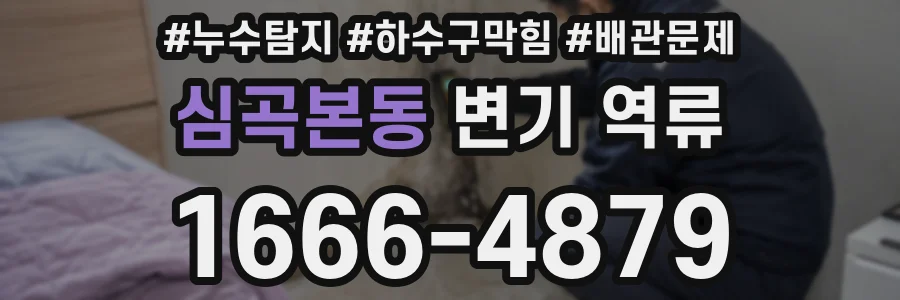 심곡본동 변기 역류