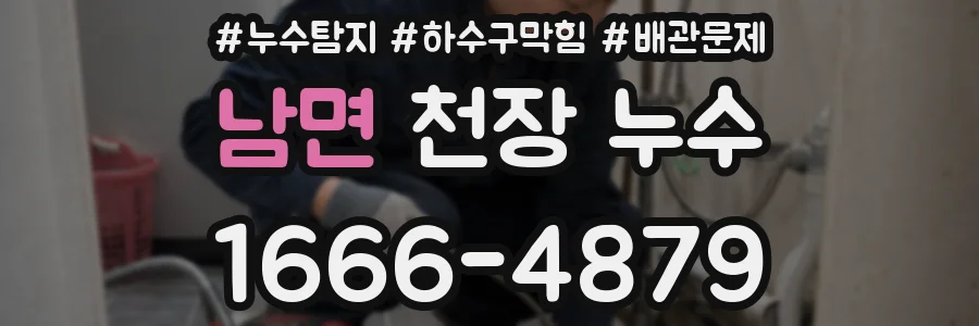 남면 천장 누수