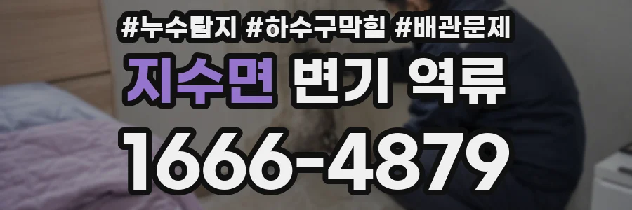 지수면 변기 역류
