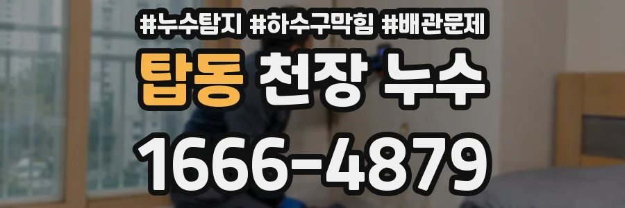 탑동 천장 누수