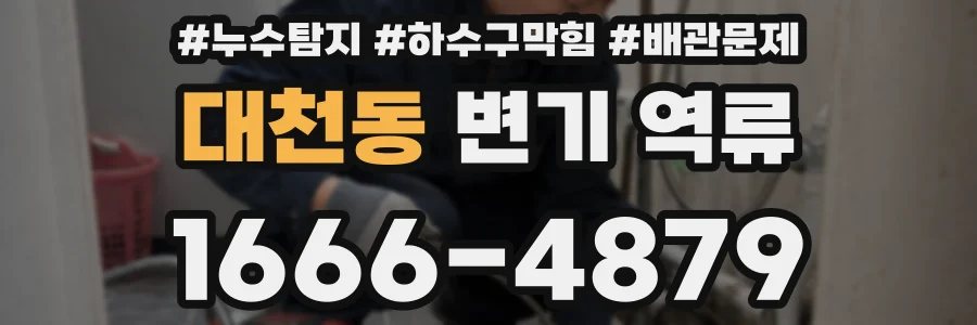 대천동 변기 역류