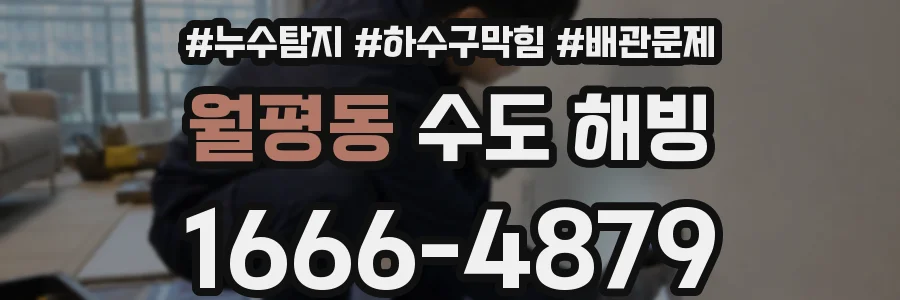 월평동 수도 해빙