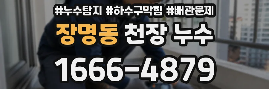 장명동 천장 누수