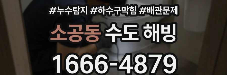 소공동 수도 해빙