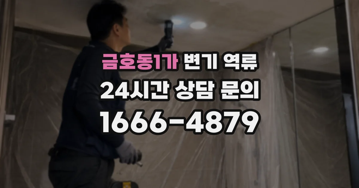금호동1가 변기 역류
