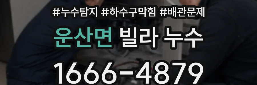 운산면 빌라 누수