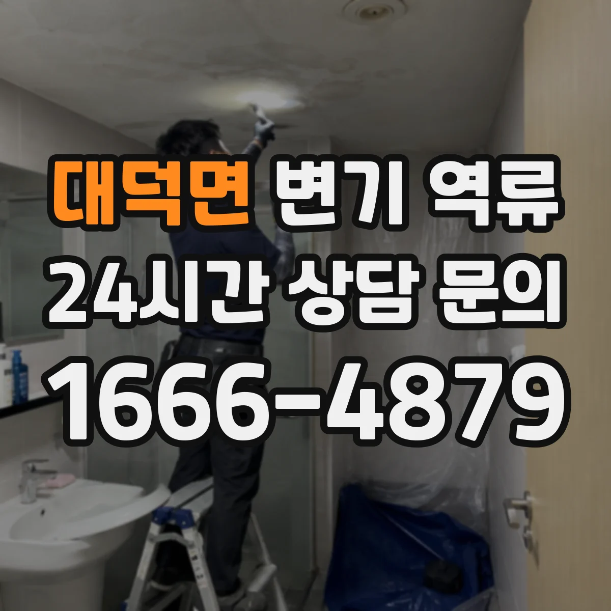 대덕면 변기 역류