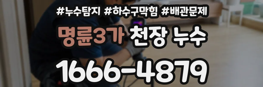 명륜3가 천장 누수