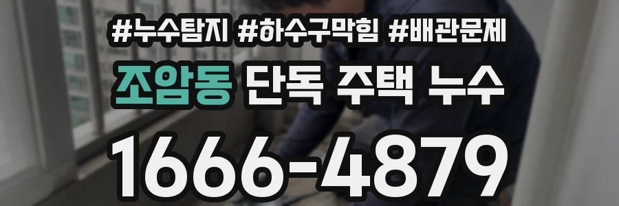 조암동 단독 주택 누수