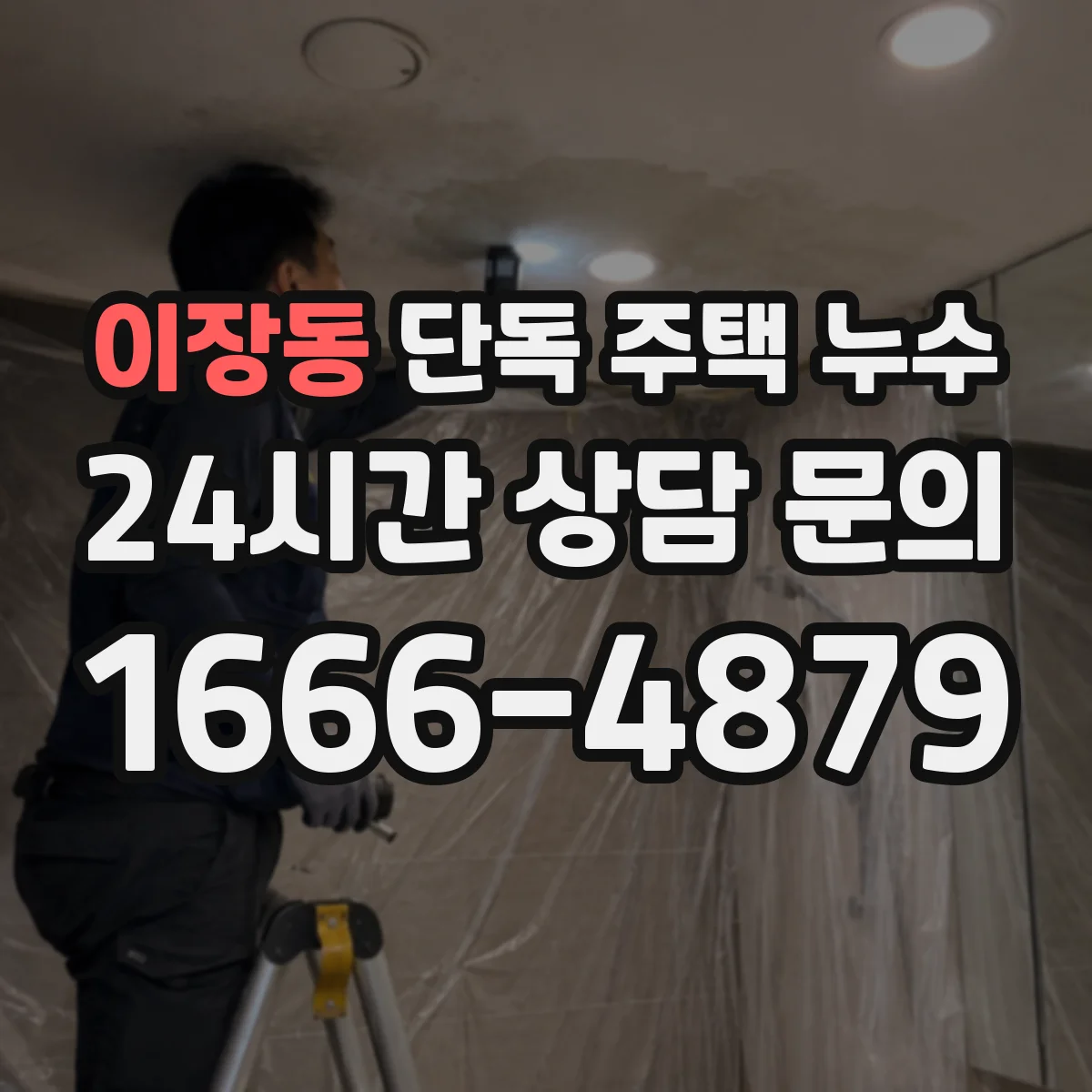 이장동 단독 주택 누수
