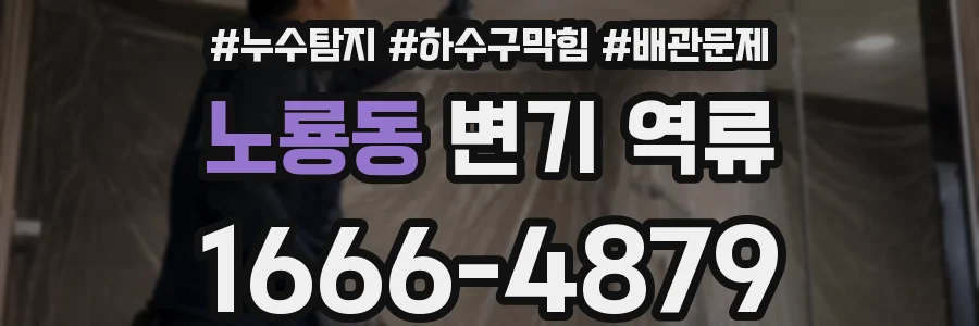 노룡동 변기 역류