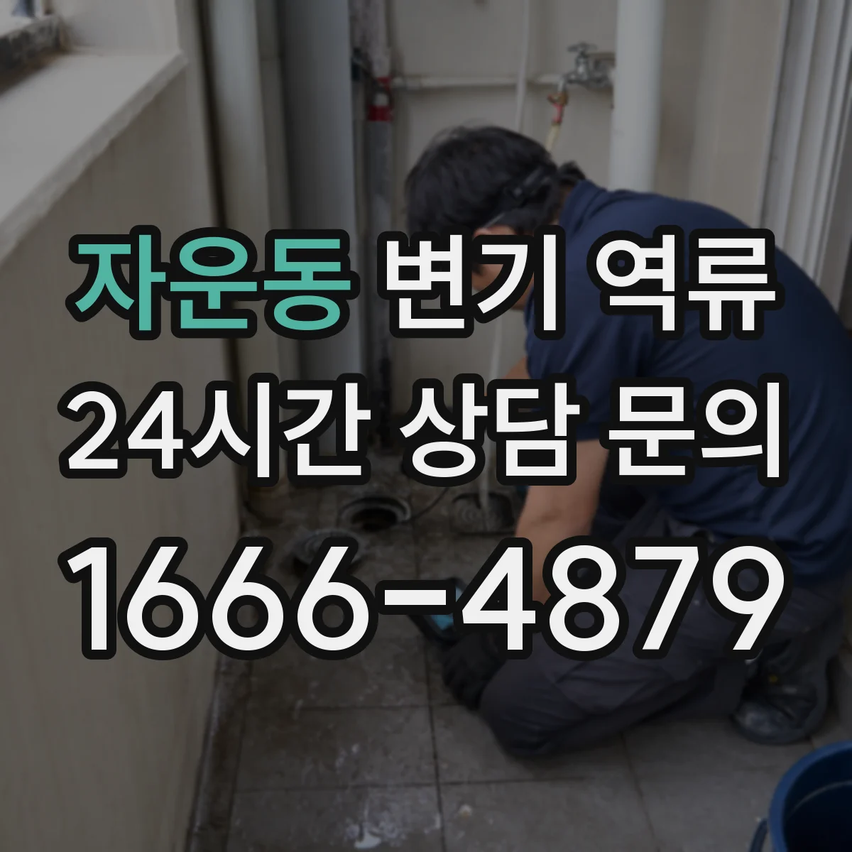 자운동 변기 역류