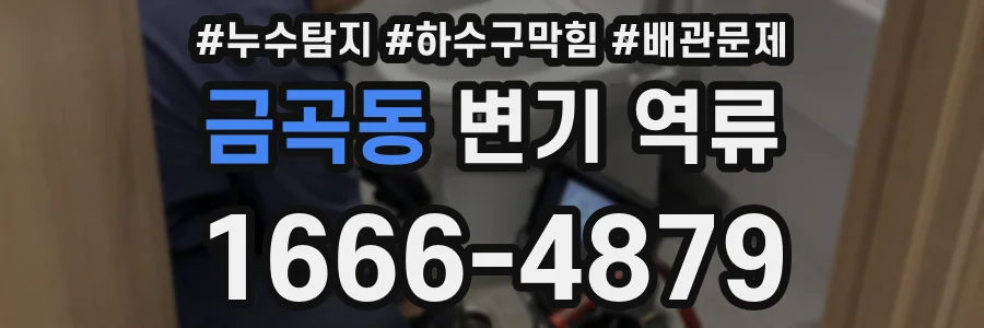 금곡동 변기 역류