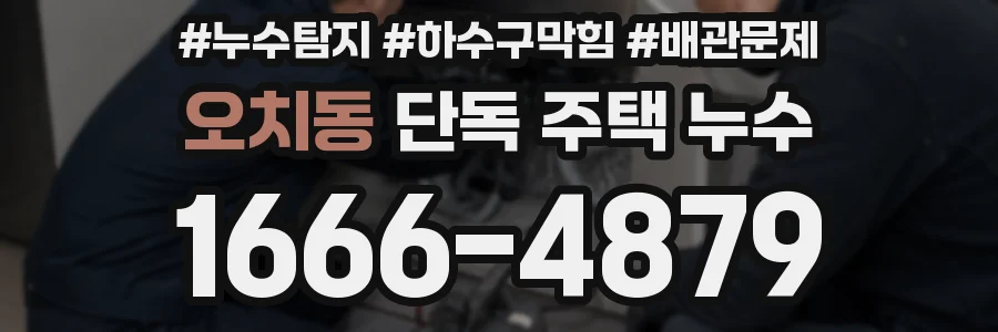 오치동 단독 주택 누수