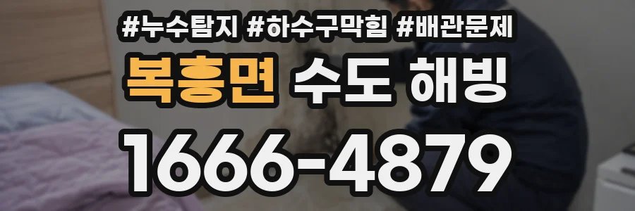 복흥면 수도 해빙