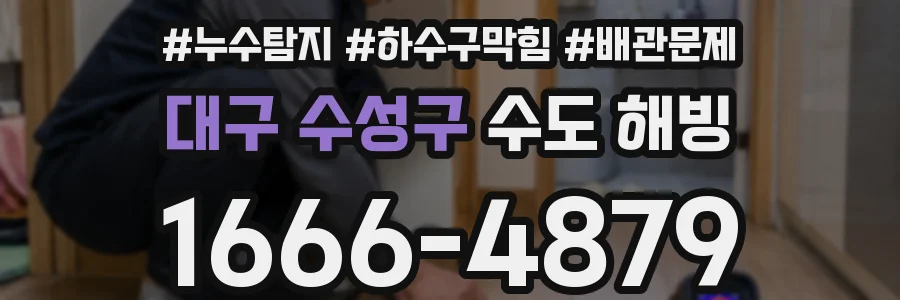 대구 수성구 수도 해빙