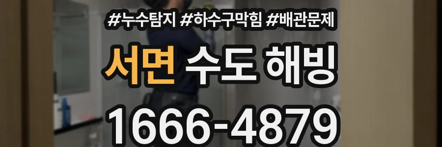 서면 수도 해빙