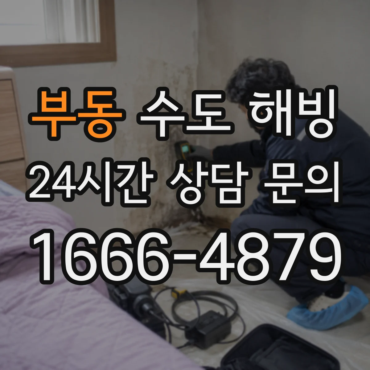 부동 수도 해빙