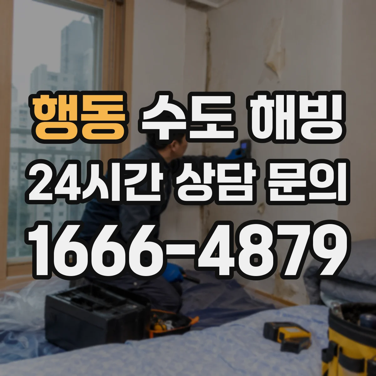 행동 수도 해빙
