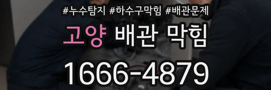 고양 배관 막힘