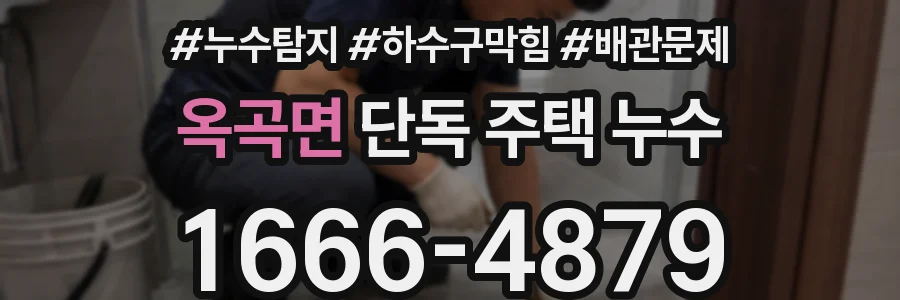 옥곡면 단독 주택 누수