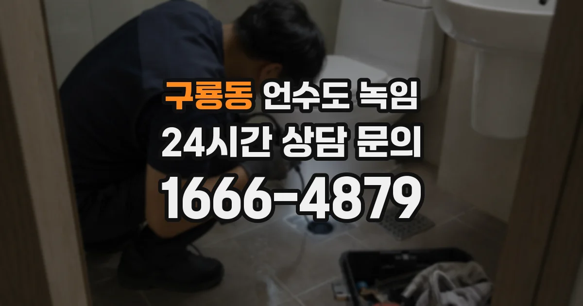 구룡동 언수도 녹임