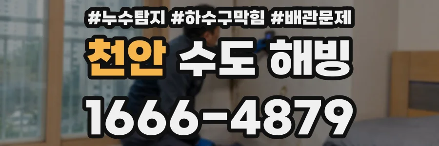 천안 수도 해빙