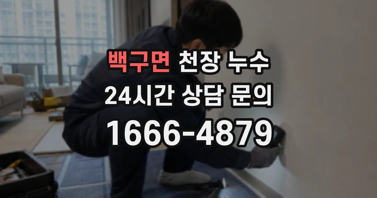 백구면 천장 누수