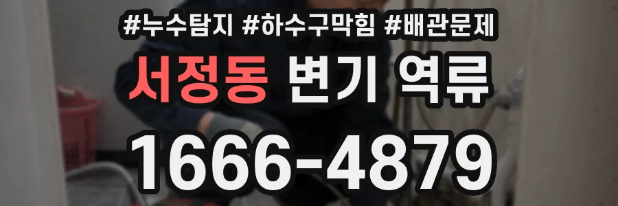 서정동 변기 역류