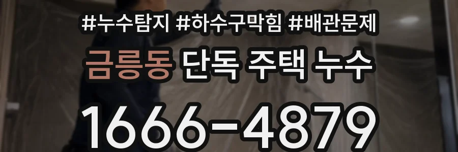 금릉동 단독 주택 누수