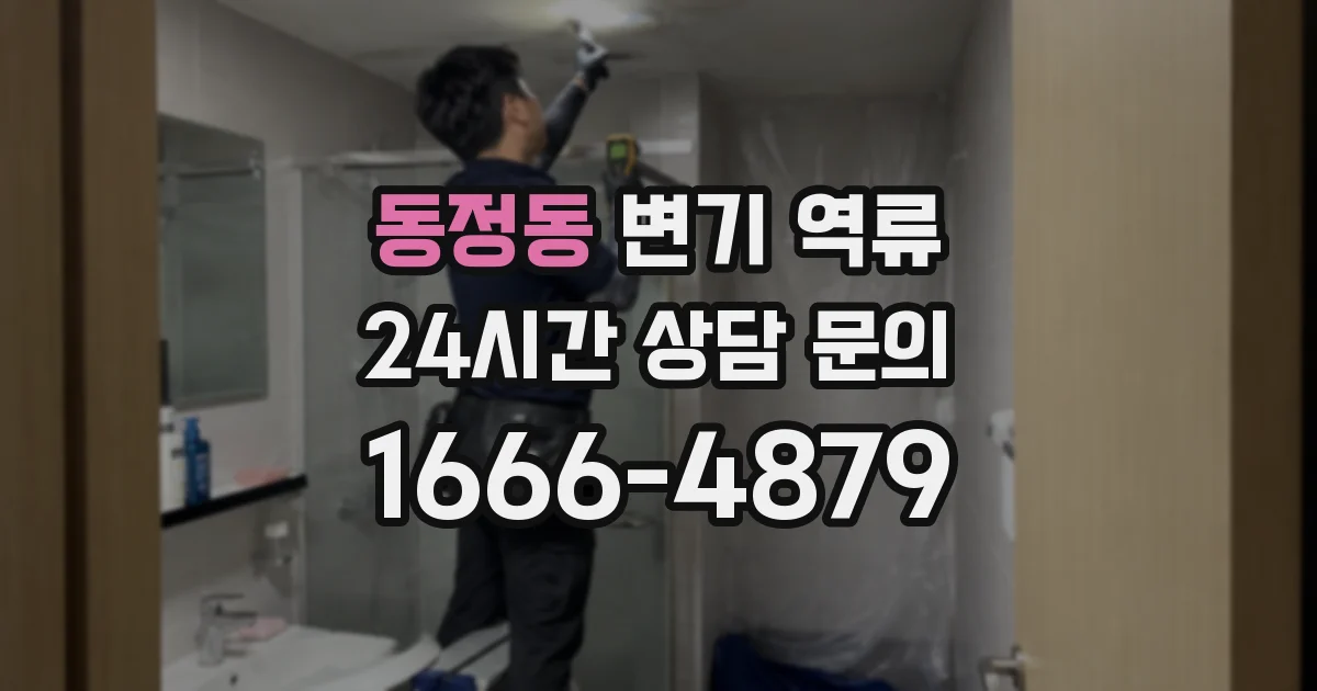 동정동 변기 역류