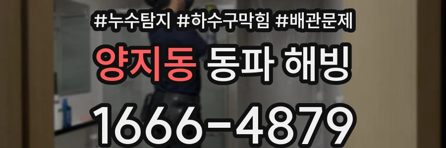 양지동 동파 해빙