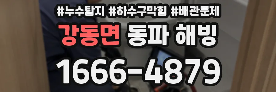 강동면 동파 해빙