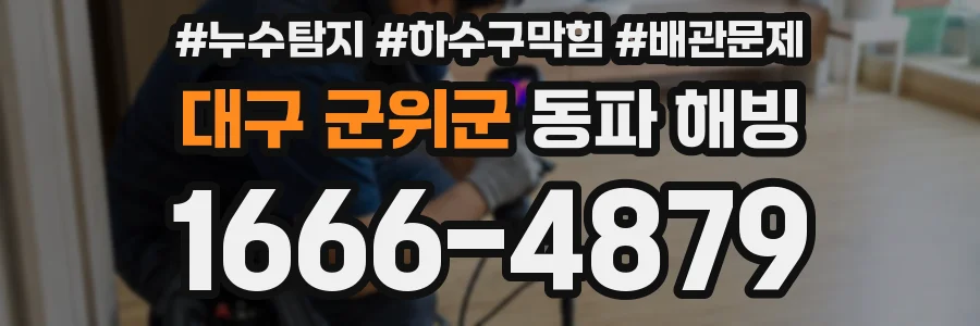 대구 군위군 동파 해빙