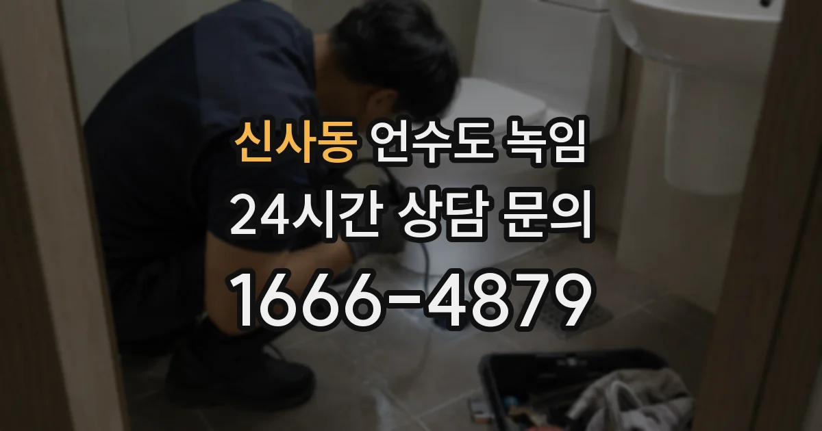 신사동 언수도 녹임