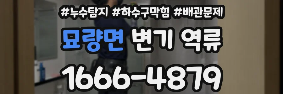 묘량면 변기 역류