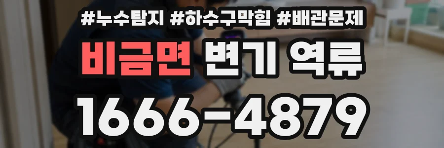 비금면 변기 역류