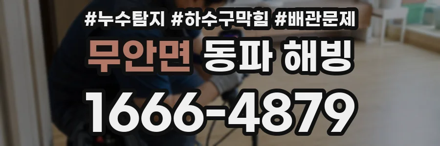 무안면 동파 해빙